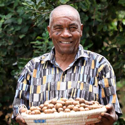 LIMBUA – Fertigung
