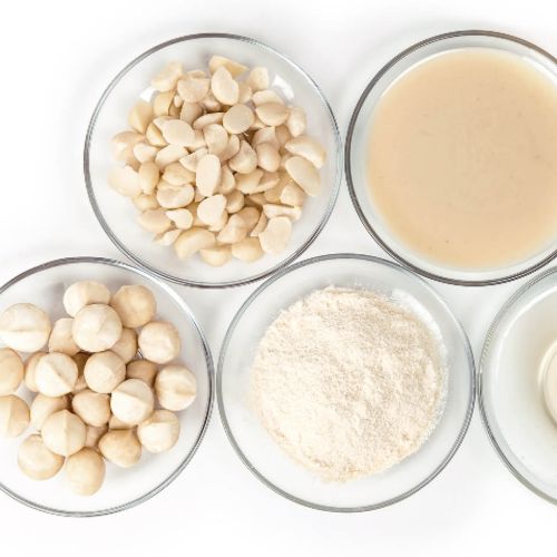 Bio-Macadamia Ingredient Styles (i1L, i1S, i4, iT)