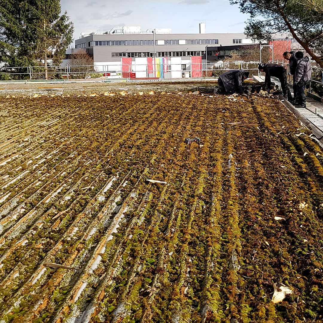 PV-Anlage auf Gewerbedach