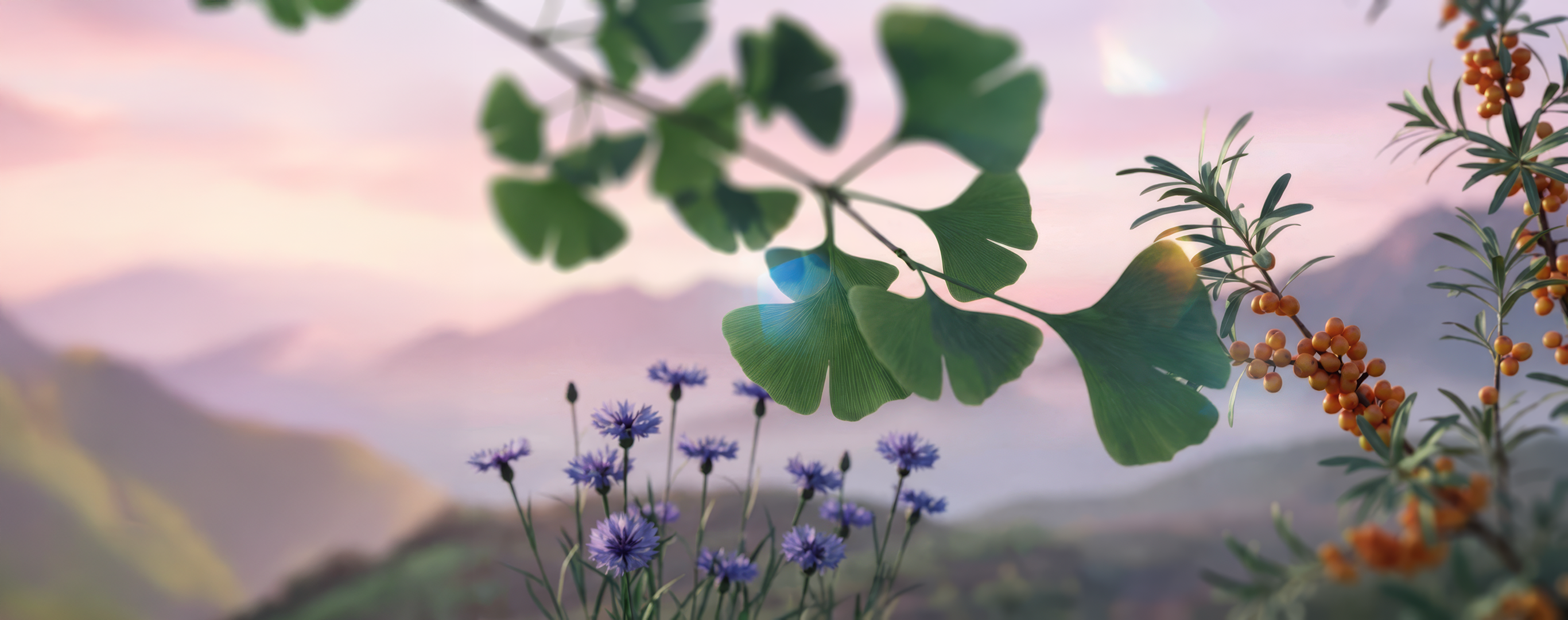 Evonik Operations GmbH – Botanical Extracts