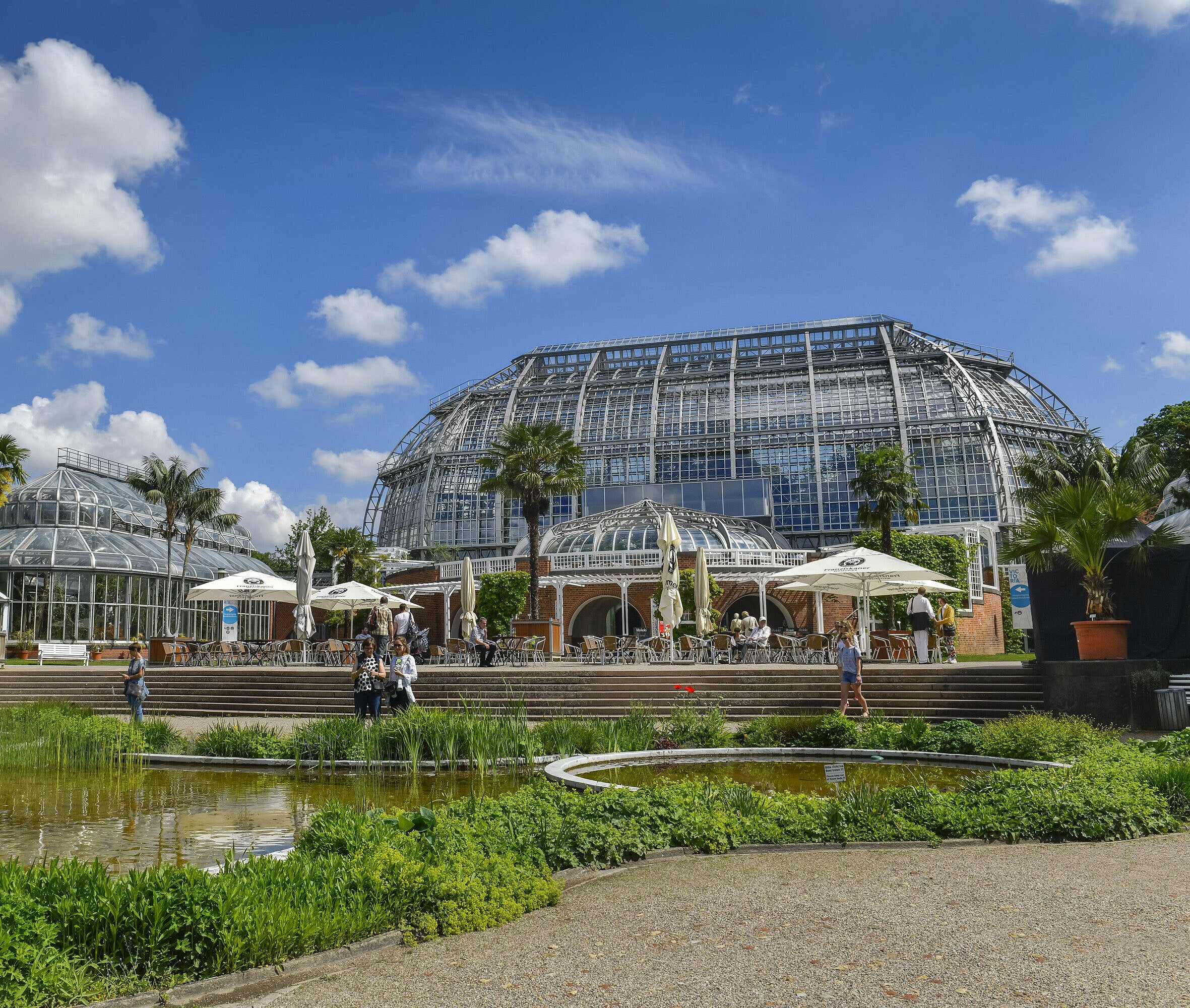 Grosses Tropenhaus, Botanischer Garten Berlin