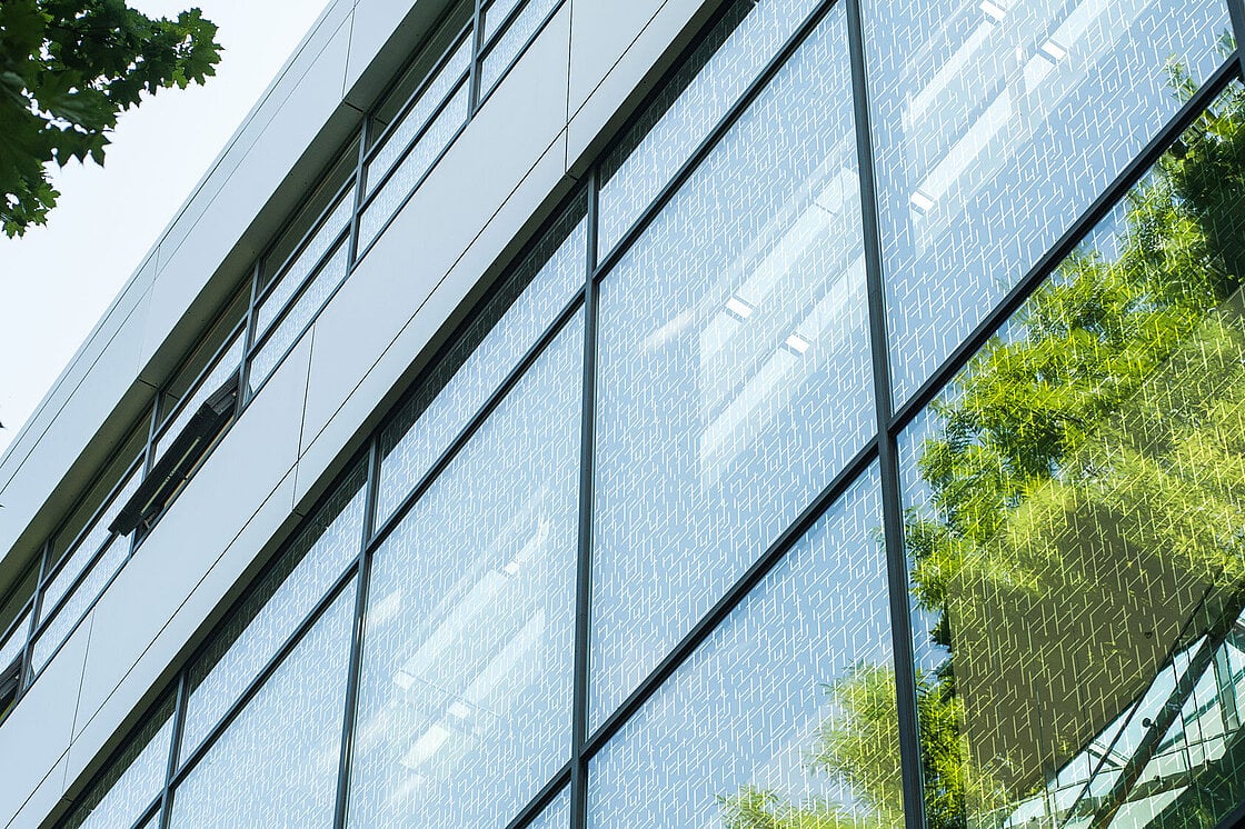 BIRDPROTECT Vogelschutzglas