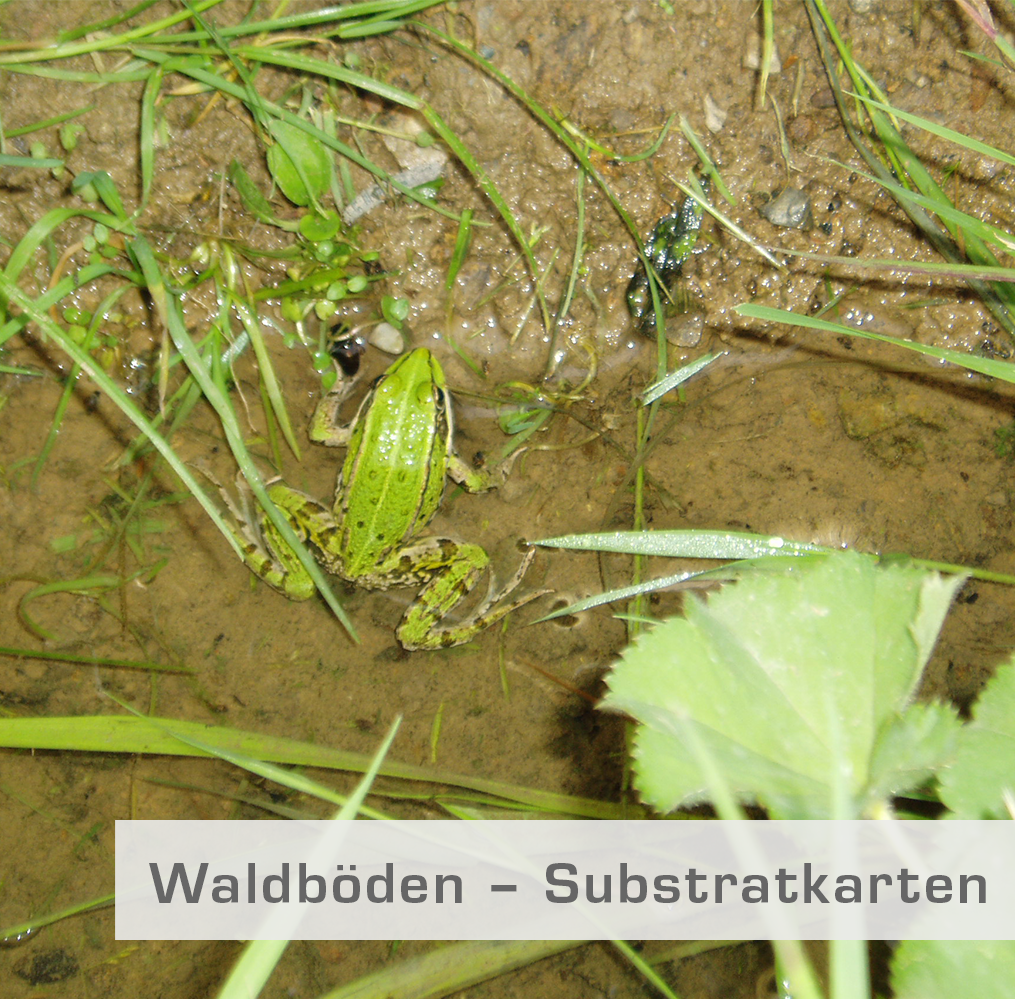 Waldböden – Substratkarten