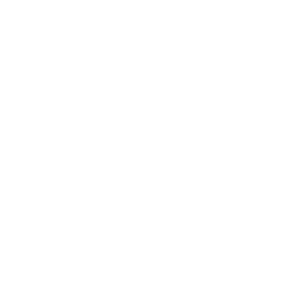 Bierwerk Züri Logo