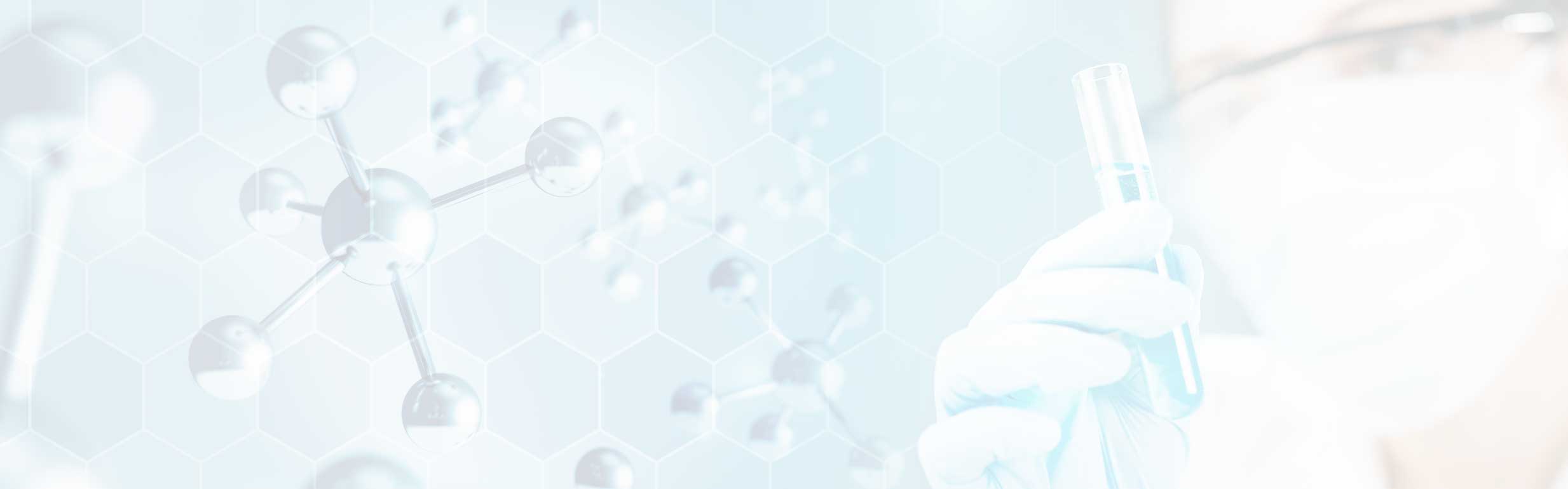 BioPolymer – Unternehmen in Dümmer