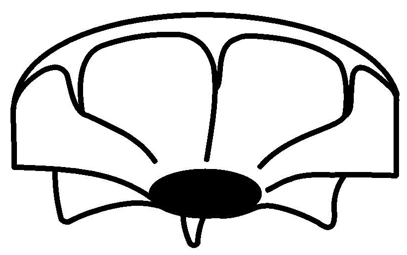 Wotschke Logo