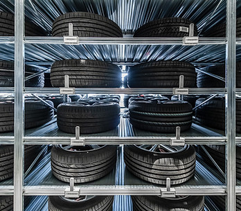 ergowheel® Radregalsystem