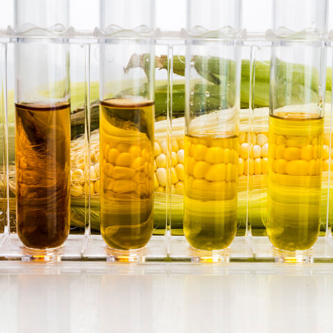Zentrifugen-Antrieb für Bioethanol-Produktion