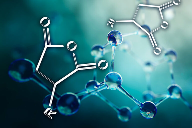 Alkenylbernsteinsäureanhydride
