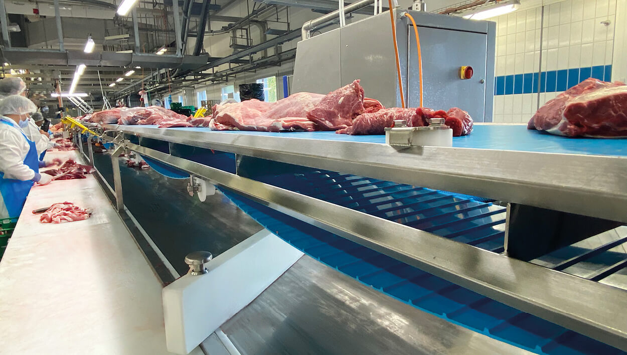 Thermo-Drive Hygienegurtförderband Bigler AG (20.8 m)