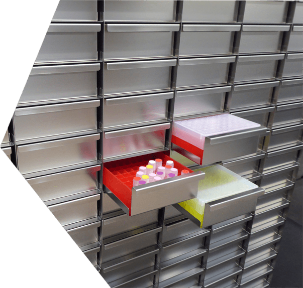 Edelstahlgestelle für Kryo-Boxen und SBS-Formate