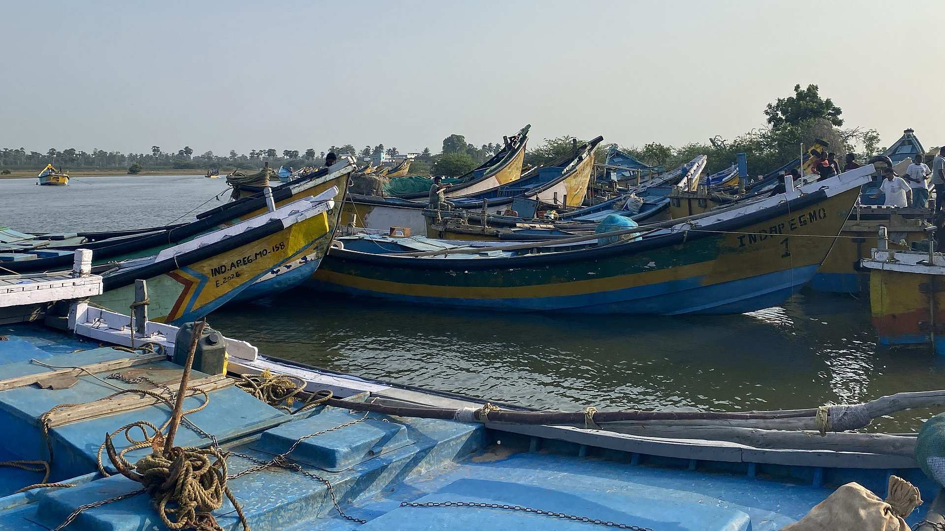 Projektarbeit in Indien: Fischerboote am Golf von Bengalen