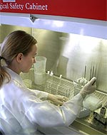 Biofilm-Untersuchung der Universität Hannover