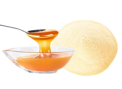 Topinambur Saftkonzentrat & Saftpulver BIO