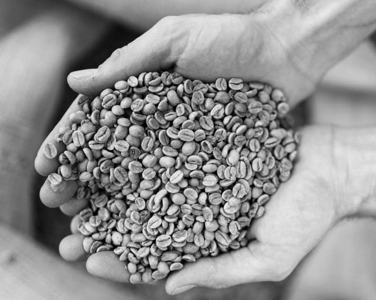 Geröstete Kaffeesorten und Mischungen