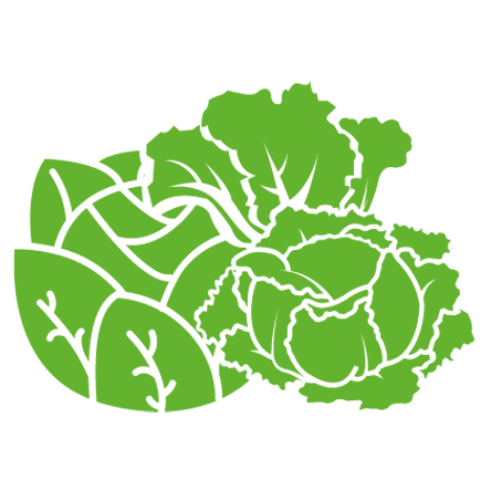Salatkulturen im Gewächshaus