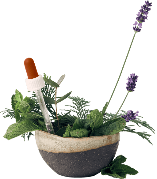 Naturreine ätherische Öle und Botanik