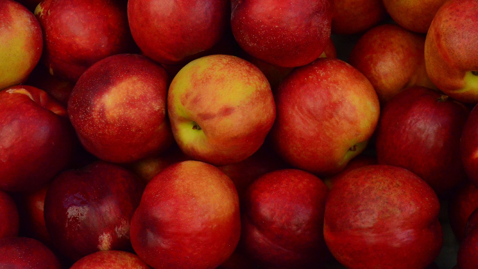 Früchte (Äpfel)
