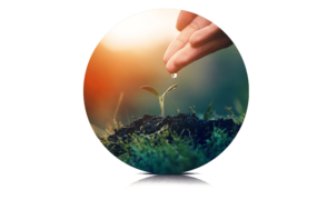 AirSense – Emissions- und Immissionsmessung